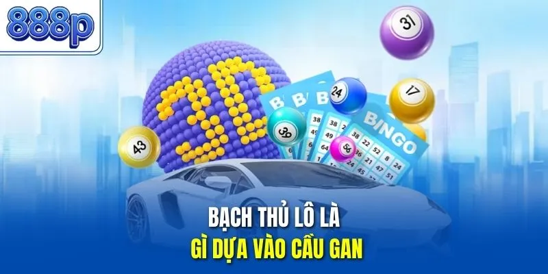 Bạch thủ lô là gì dựa vào cầu gan
