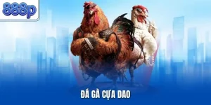 Đá Gà Cựa Dao| Trải Nghiệm Chọi Kê Online Đỉnh Cao Nhất 888P