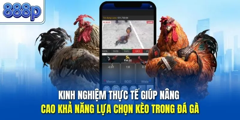 Kinh nghiệm thực tế giúp nâng cao khả năng lựa chọn kèo trong đá gà