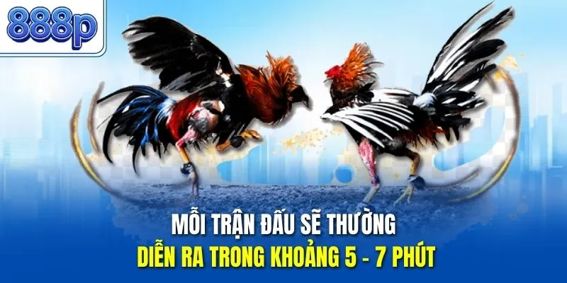Mỗi trận đấu sẽ thường diễn ra trong khoảng 5 - 7 phút
