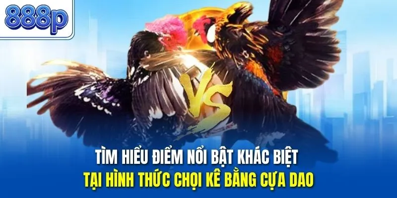 Tìm hiểu điểm nổi bật khác biệt tại hình thức chọi kê bằng cựa dao
