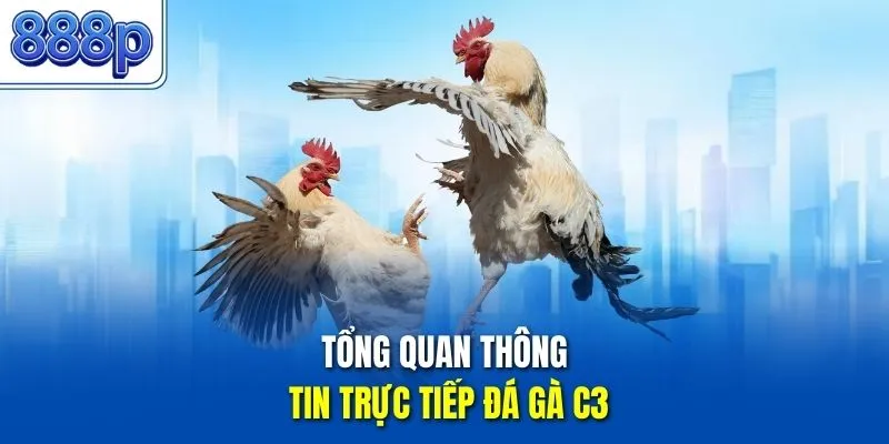 Tổng quan thông tin trực tiếp đá gà C3