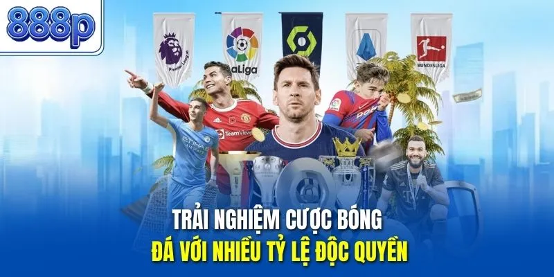 Trải nghiệm cược bóng đá với nhiều tỷ lệ độc quyền