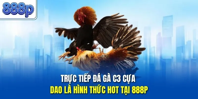 Trực tiếp đá gà C3  cựa dao là hình thức hot tại 888P